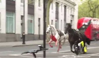 Άλογα_Λονδίνο