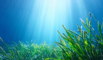 Αυγενάκης: Η υγεία θαλασσών και ωκεανών είναι συνολική υγεία στον πλανήτη